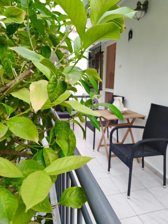 Cozy Seaview Apartment Siviri Eksteriør billede